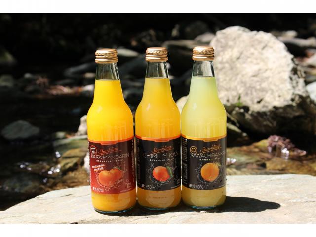 柑橘スパークリングジュース６本セット(３品種×各２本)