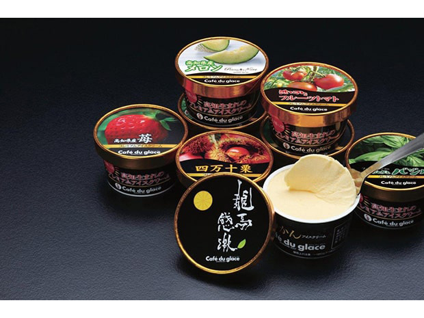 地域資源を活かした　高知県産　無添加プレミアムアイスクリーム（１０個入ギフト）
