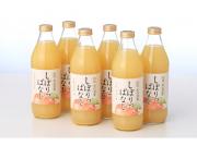 信州産りんごジュース　しぼりっぱなし　1000ml×6本