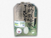 栃木県産 令和3年 契約栽培米コシヒカリ　5kg