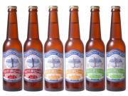 田沢湖ビール　ワールドベストセレクション3種6本　各ビン330ml×2本