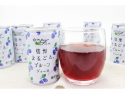 長野産　信州まるごとプルーンジュース 160g×30缶