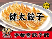 宇都宮餃子館　当店の代表餃子　健太餃子詰合せ　8個×6パック(餃子のタレ付き)