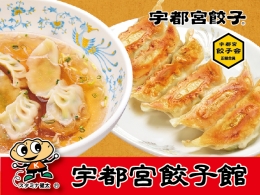 宇都宮餃子館　贅沢4種セット　8個×6パック(餃子のタレ付き)