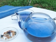 雲仙産　藍の青いお茶ティーバッグ　8個