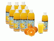 愛媛県産　旬の柑橘きよみジュース(ストレート)　500mlx10本