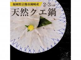 道の駅むなかた厳選!幻の高級魚・クエの美味しさをご自宅で!鐘崎産天然クエ鍋&クエしゃぶセット 2～3人前