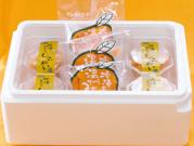 熊本県産　冷凍柑橘セット(手むきみかん5袋、手むきしらぬい4個)