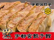 宇都宮餃子館　しょうが餃子詰合せ　8個×6パック(餃子のタレ付き)