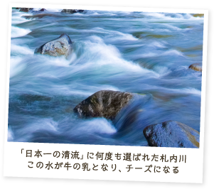 「日本一の清流」に何度も選ばれた札内川この水が牛の乳となり、チーズになる