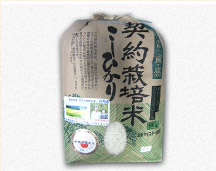 契約栽培米コシヒカリ5ｋｇ