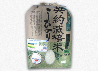 【栃木】契約栽培米コシヒカリ5kg