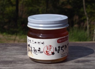 【長野】日本ミツバチのはちみつ　富永朝和 [特製] はちみつ 100g×2個